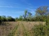 1680 Franklin Rd photo
